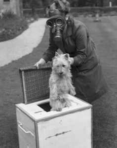 صورة لإمرأة وهي بصدد وضع كلبها داخل إحدى العلب خوفا من هجوم كيميائي ألماني